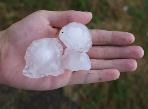 What do hail-damaged shingles look like? Large hailstones are seen. Popejoy Roofing repairs roofs damaged by hail.